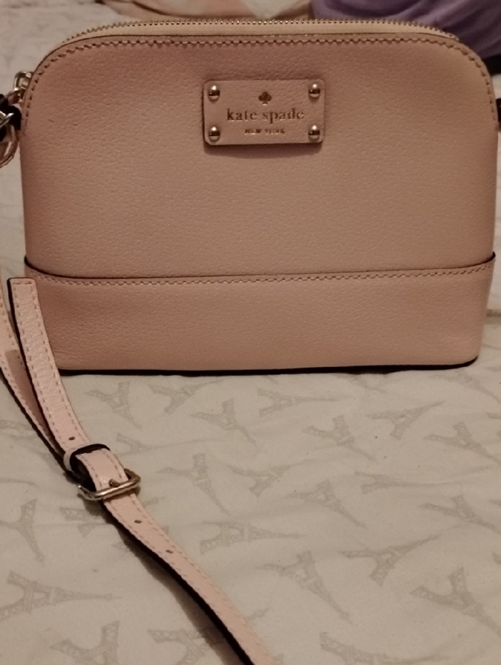 Kate Spade Pale Pink Leather Crossbody Bag w/ Sunglasses, Case, Flower Charm